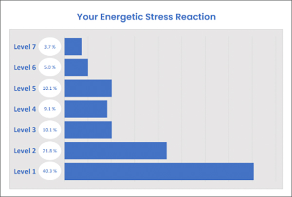 What’s Your Natural Energetic Response to Stress? | Aileron What’s Your Natural Energetic Response to Stress? | Aileron